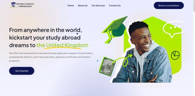 Website Design For Skyned Consults Corporation